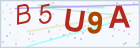 验证码